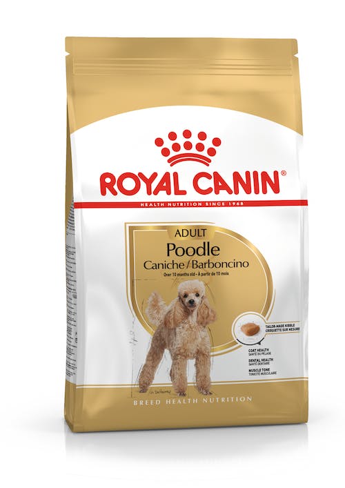 Royal Canin Poodle Adulto