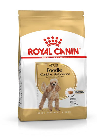 Royal Canin Poodle Adulto
