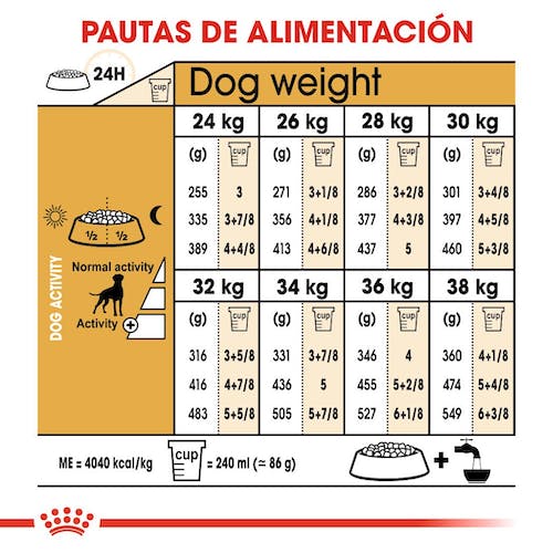 Royal Canin Boxer Adulto