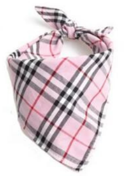 Paw Pets bandana Burberry