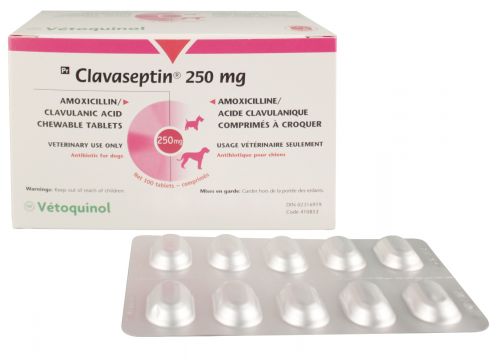 CLAVASEPTIN - VETOQUINOL