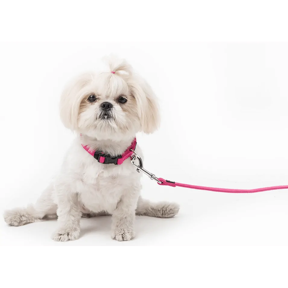 DogLine Collar de Microfibra