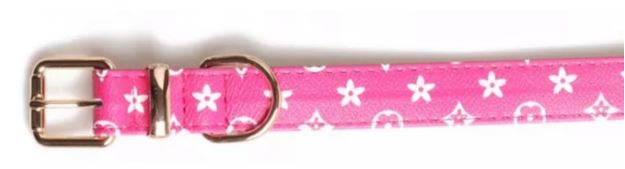 Paw Pets collar LV