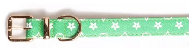 Paw Pets collar LV