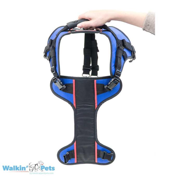 Walkin Pets Combo de arnés frontal Walkin' Lift con Dring & Clips
