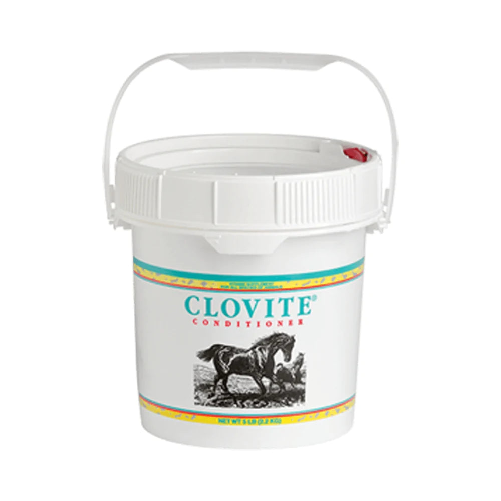 CLOVITE - ZOETIS