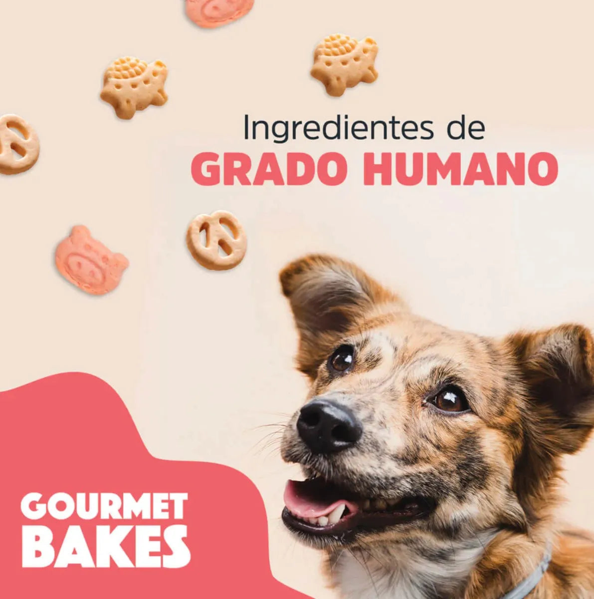 TRICK & TREATS - GOURMET BAKES - DULCE DE LECHE