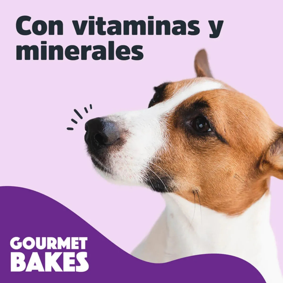 TRICK & TREATS - GOURMET BAKES - DULCE DE LECHE