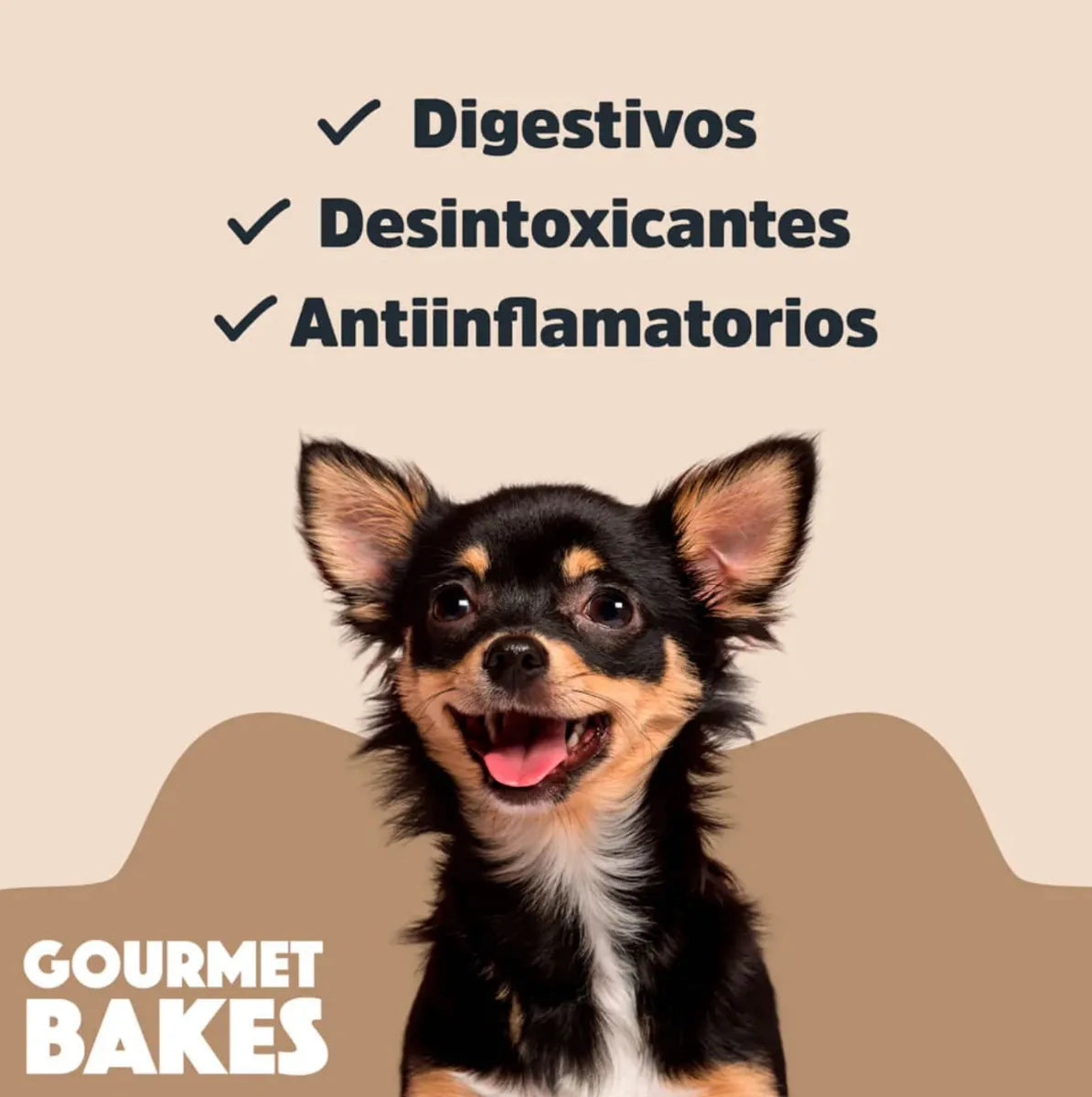 TRICK & TREATS - GOURMET BAKES - DULCE DE LECHE