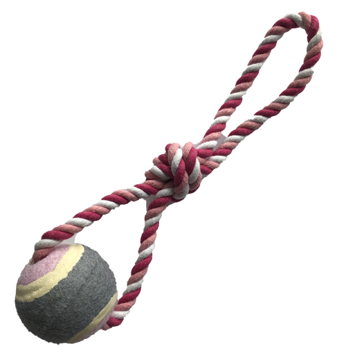 Grand Pet Pelota con cuerda de colores