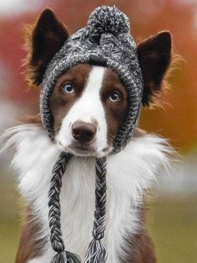 Paw Pets gorra de frio