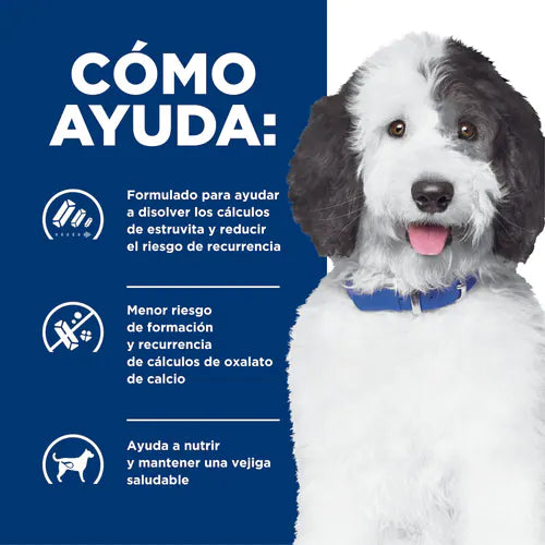 Hill's Prescription Diet c/d Multicare Alimento Seco para Perros