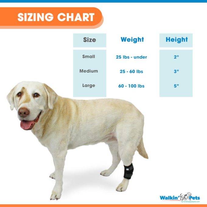 Walkin Pets Soporte de corva/corvejón