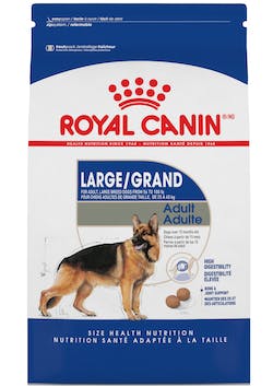Royal Canin Large Adult