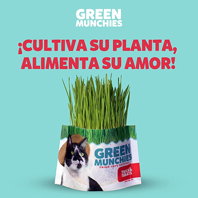 PASTO DE TRIGO GREEN MUNCHIES PARA GATOS - TRICK & TREATS