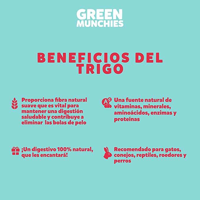 PASTO DE TRIGO GREEN MUNCHIES PARA GATOS - TRICK & TREATS