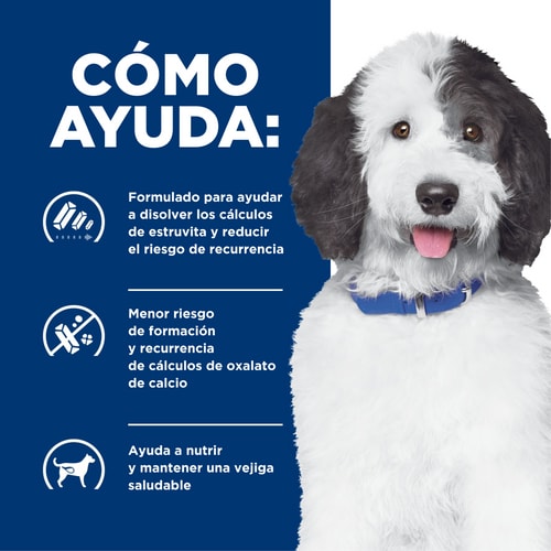 Hill's c/d Multicare Alimento Seco para Perros