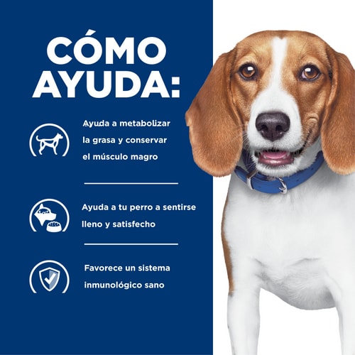 Hill's r/d Alimento Seco para Perros