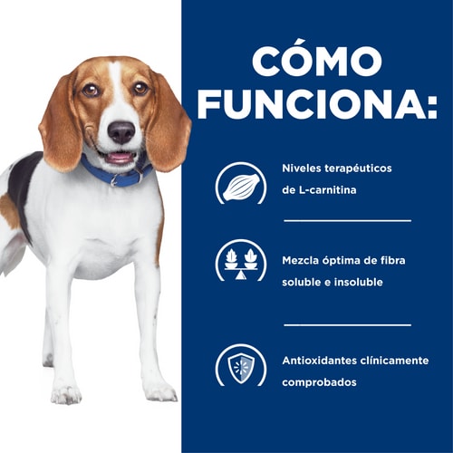 Hill's r/d Alimento Seco para Perros