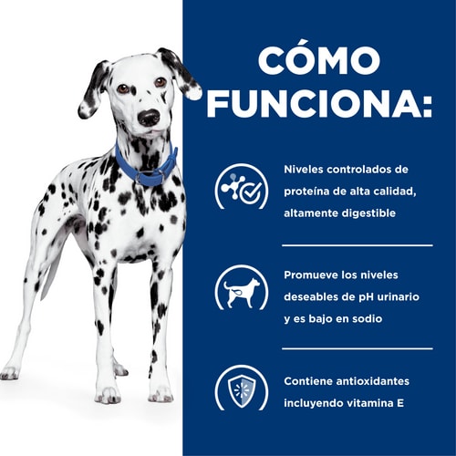 Hill's u/d Canine Urolitiasis y Enf. Renal en etapa final