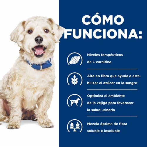 Hill's w/d Multi-Benefit Alimento Seco para Perros