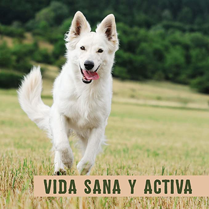 Sportmix Wholesomes Pollo y Arroz Integral - Para Perros