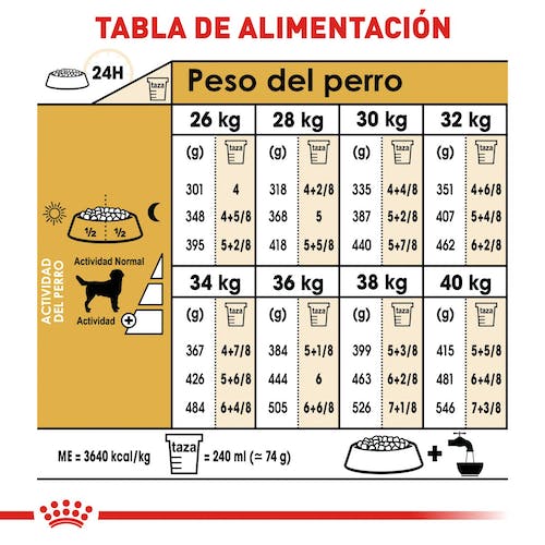 Royal Canin Labrador Retriever Adulto