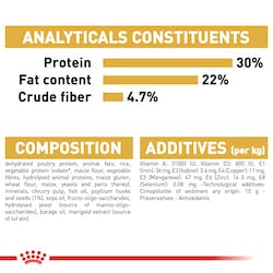 Royal Canin Persian Adult 3.1kg