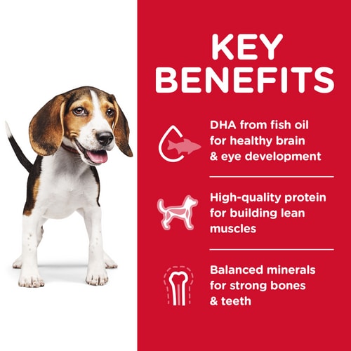 Hill's Science Diet Puppy Chicken Meal & Barley Recipe