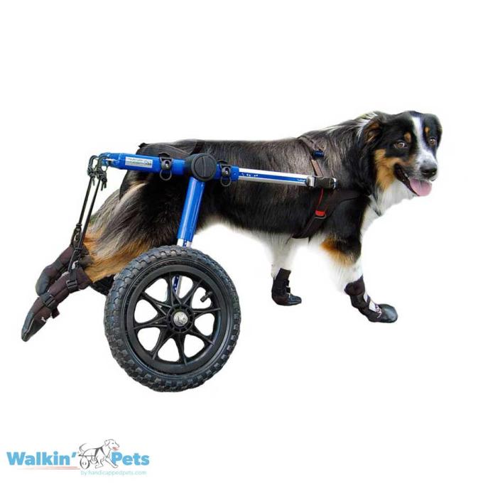 Walkin Pets Botas Walkin' con Kit de Estribos