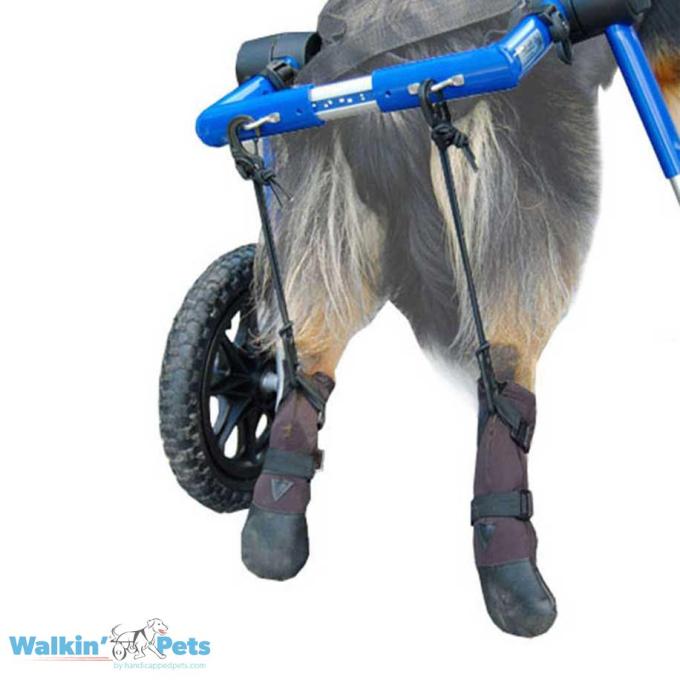 Walkin Pets Botas Walkin' con Kit de Estribos