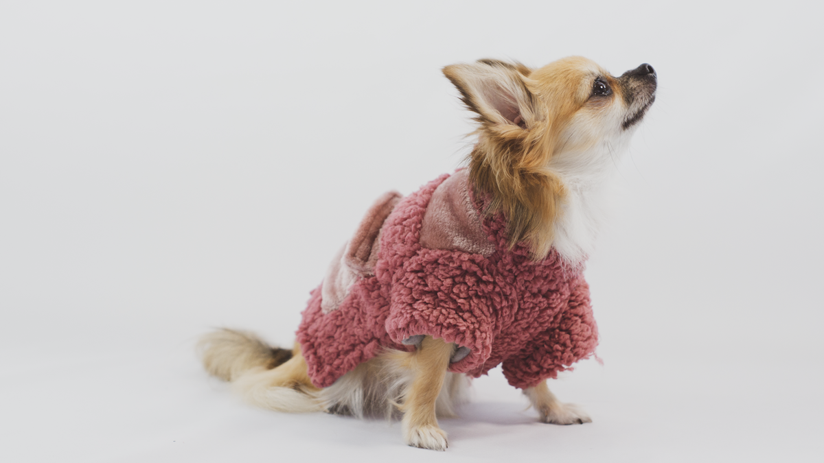 Urbandog Sudadera Valentina