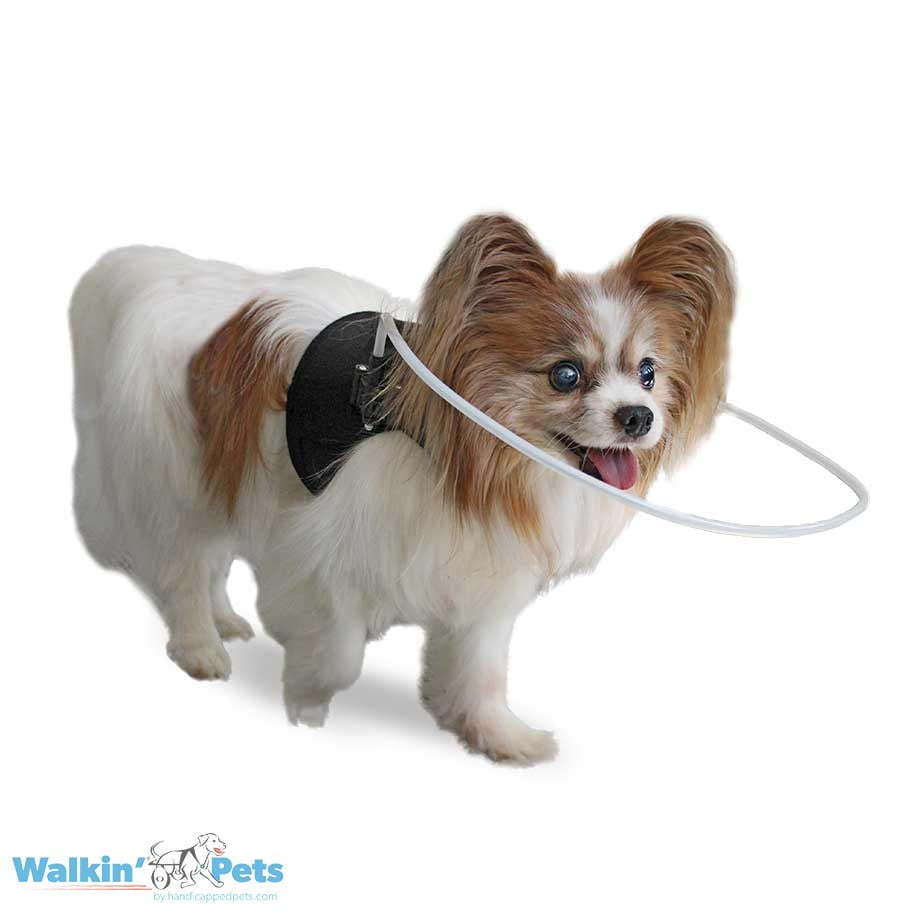 Walkin Pets Halo con chaleco frontal