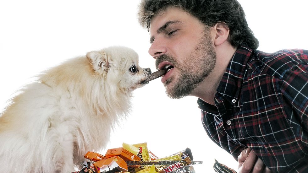 Chocolate: amor tóxico para perros.