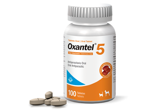 OXANTEL 5 -  PETMEDICA