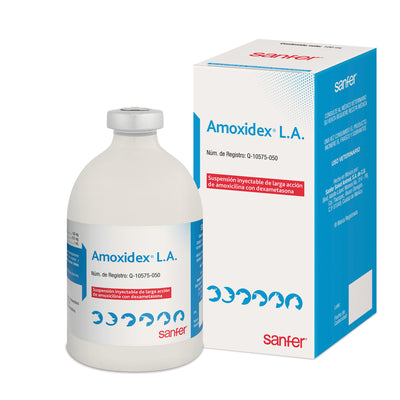 AMOXIDEX LA - SANFER