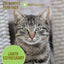 CALMANTES PARA GATOS - PET NATURALS