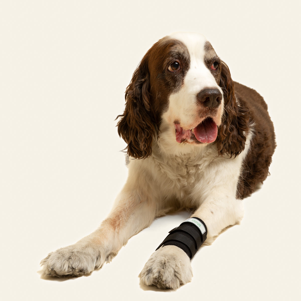 MUÑEQUERA PROTECTOR DE CARPO - ORTOVETS