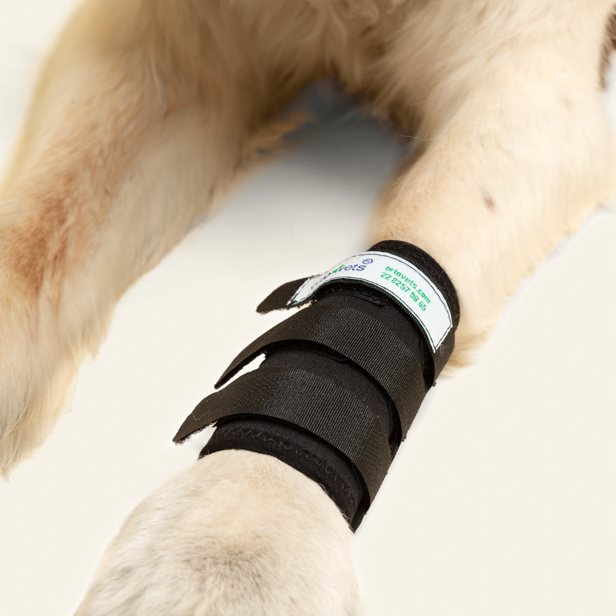 MUÑEQUERA PROTECTOR DE CARPO - ORTOVETS