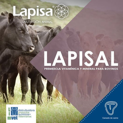 LAPISAL 20 KG