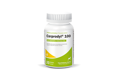 CARPRODYL - PETMEDICA