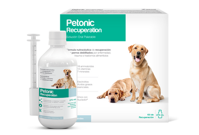 PETONIC RECUPERATION PERROS - PETMEDICA