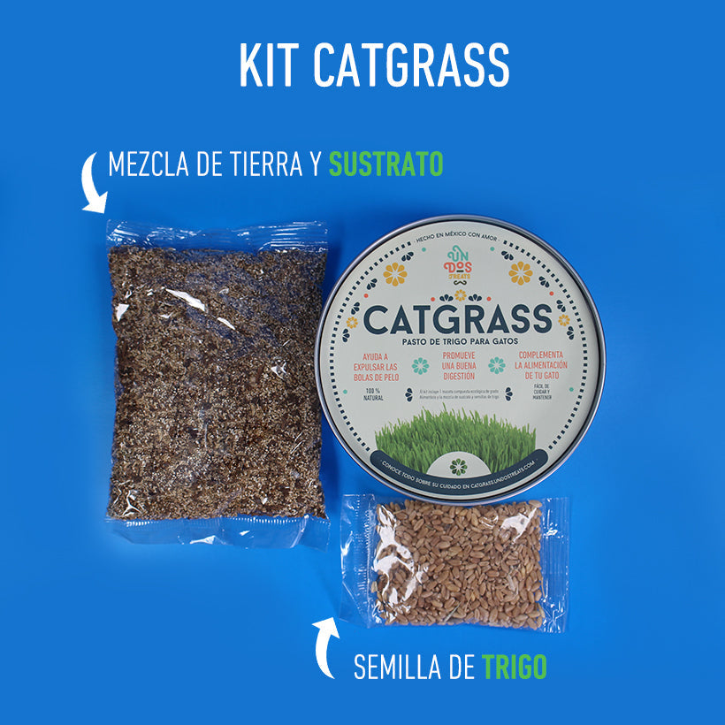CAT GRASS - PASTO DE TRIGO PARA GATOS - UN DOS TREATS