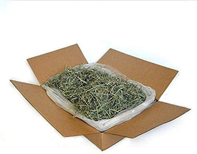 Pasto Timothy Gold American Pet bolsa 2.27 KG