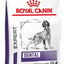 Royal Canin Dental Dry Dog Food