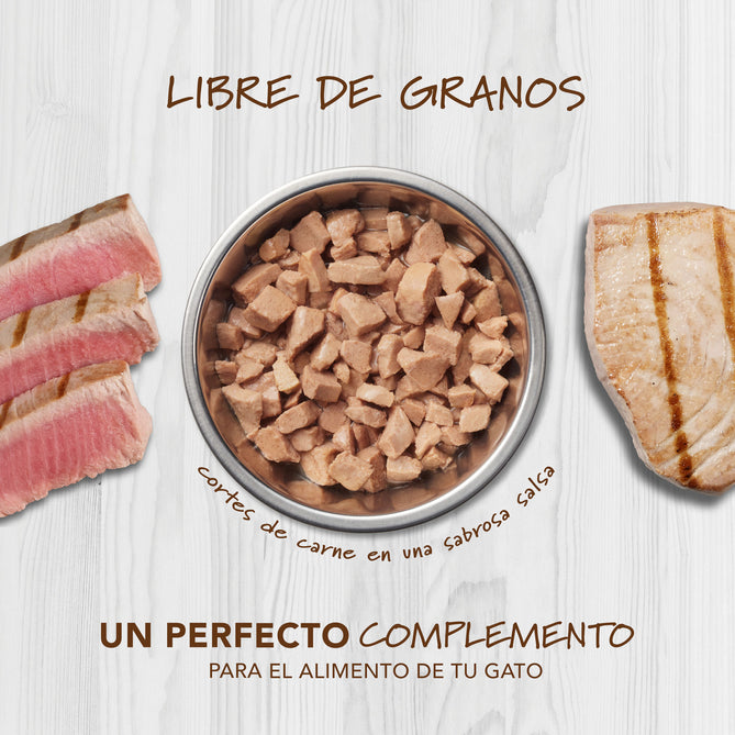 HEALTHY CRAVINGS DE ATÚN DE 3 OZ (GATOS)