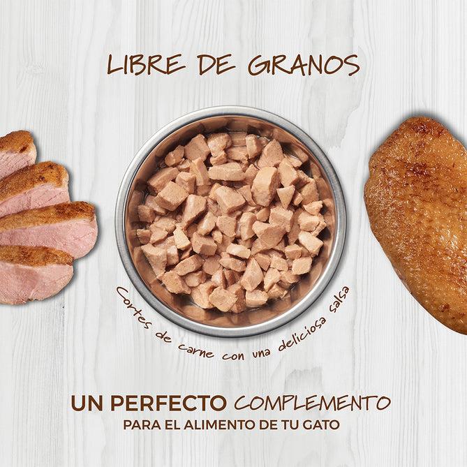 HEALTHY CRAVINGS DE SALMÓN 3 OZ (GATOS)
