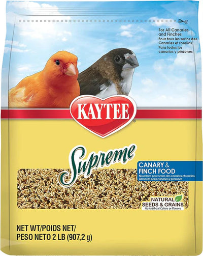Supreme Canario Finch