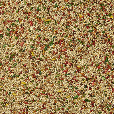 Forti-Diet Canario Finch (Mezcla balanceada de semillas)
