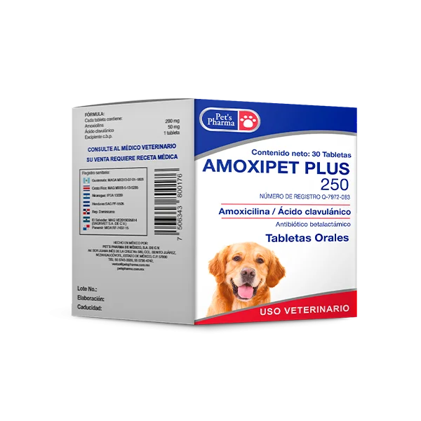 AMOXIPET